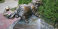 Последняя колыбель для кошки