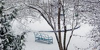 Сколько стоит снегопад?