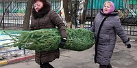 В ЗДОРОВОМ ТЕЛЕ — ХВОИНЫЙ ДУХ
