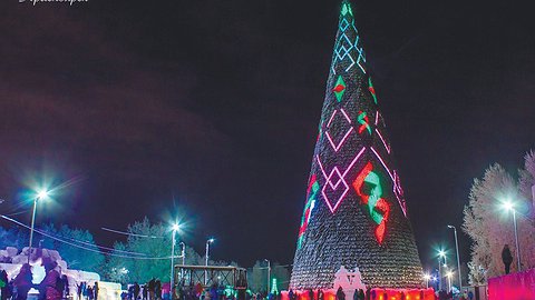 «Cрубили» нашу елочку под целый миллион